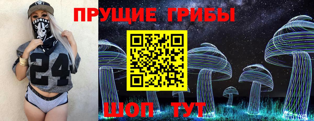 Троицк  Галлюциногенные грибы GOLDEN TEACHER  Псилоцибиновые грибы MAGIC MUSHROOMS  Вход с VPN 
