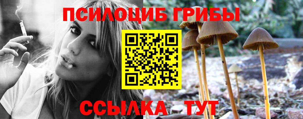 Псилоцибиновые грибы MAGIC MUSHROOMS Троицк
